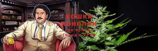 мдпв Богданович