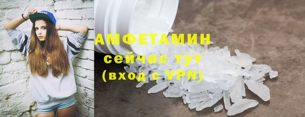 мдпв Богданович