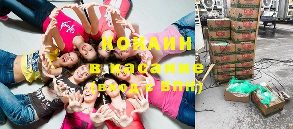 мдпв Богданович