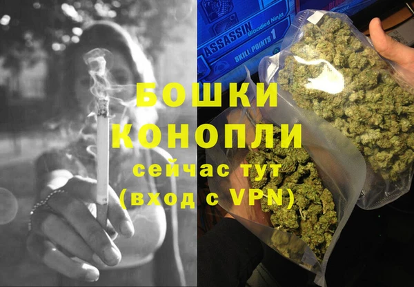мдпв Богданович