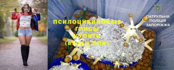 скорость Богородск