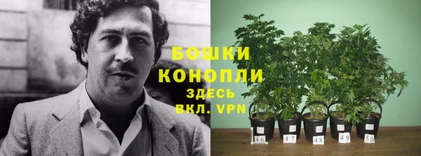 скорость Богородск