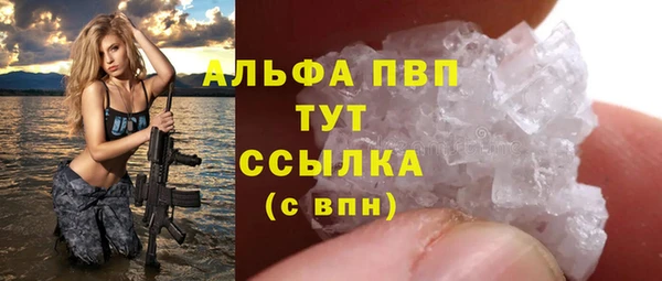 мдпв Богданович