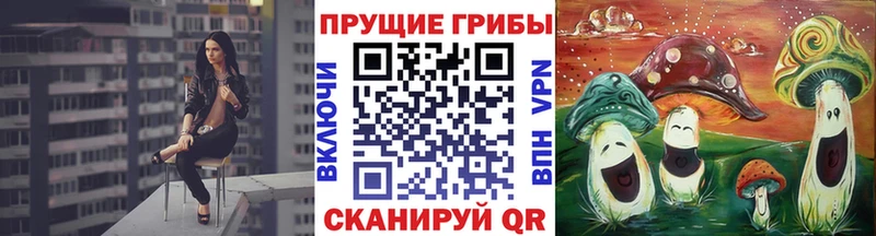 Галлюциногенные грибы Cubensis  закладка  Нижнекамск 